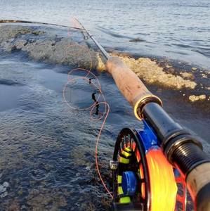 Meet your Posher, Josh